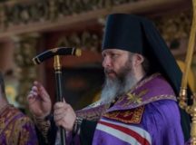 Патриаршее поздравление епископу Луховицкому Евфимию с 50-летием со дня рождения