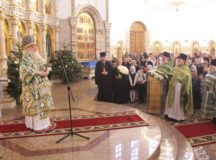 В день памяти прп. Серафима Саровского митрополит Истринский Арсений совершил Литургию в храме Живоначальной Троицы в Орехове-Борисове