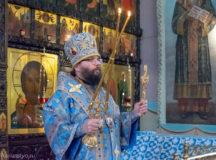 Архиепископ Егорьевский Матфей совершил Литургию в храме мучеников Адриана и Наталии в Бабушкине