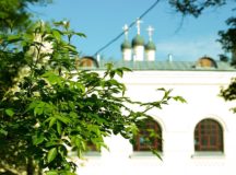 В церковной больнице святителя Алексия начали проводить тестирование на антитела к COVID-19