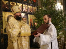 В праздник Рождества Христова архиепископ Егорьевский Матфей совершил Литургию в храме мчч. Адриана и Наталии в Бабушкине