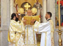 Митрополит Филиппопольский Нифон избран постоянным членом Священного Синода Антиохийской Православной Церкви