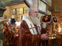 Фото: Владимир Ходаков