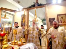 Фото: Южное викариатство