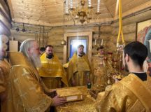 Фото: Южное викариатство