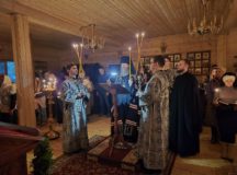 Фото: викариатство Новых территорий