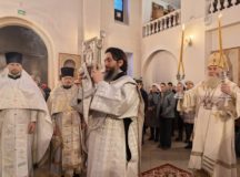 Фото: Южное викариатство