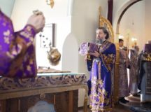 Фото: Центральное викариатство