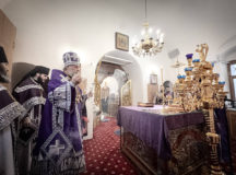 Фото: Владислав Кириллов