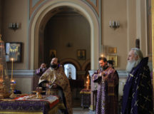 Фото: Владимир Ходаков