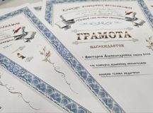 Фото: Общественная методическая служба Северного викариатства