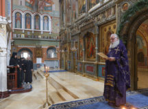 Фото: Владимир Ходаков