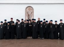 Фото: викариатство Новых территорий