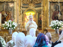 Фото: Южное викариатство