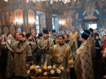 Фото: викариатство Новых территорий