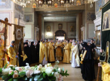 Фото: Владимир Ходаков