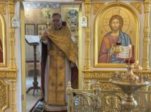 Фото: викариатство Новых территорий