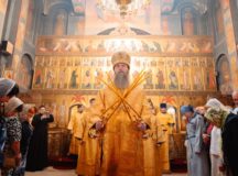 Фото: викариатство Новых территорий