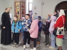 Фото: Северо-Западное викариатство