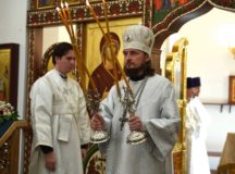 Фото: Юго-Западное викариатство