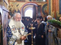 Фото: Владимир Ходаков
