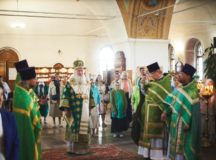Фото: Южное викариатство