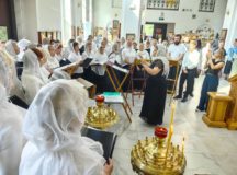 Фото: Северо-Западное викариатство