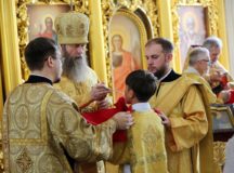 Фото: викариатство Новых территорий